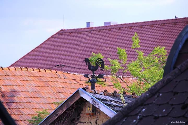 Rozmaringos Udvarhaz Dunafoldvar エクステリア 写真